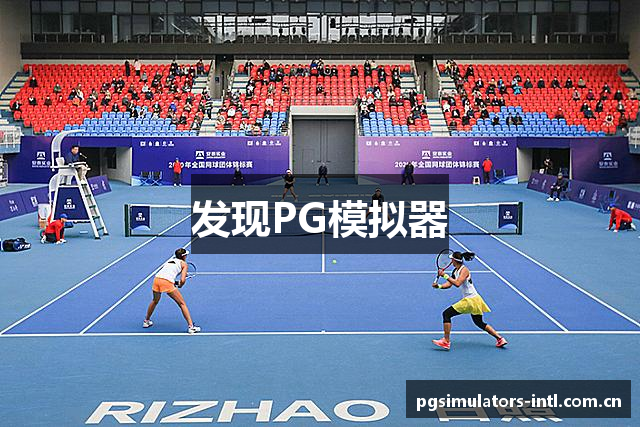 发现PG模拟器